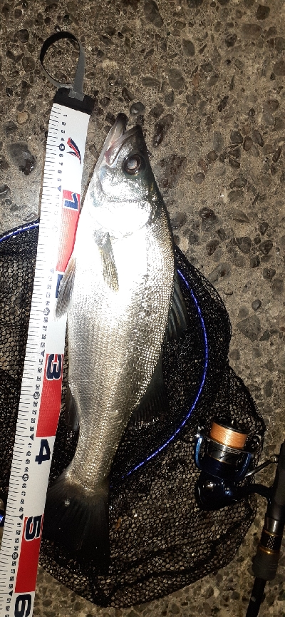 夕マズメの一瞬