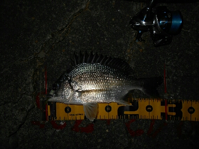 バイトは無限…