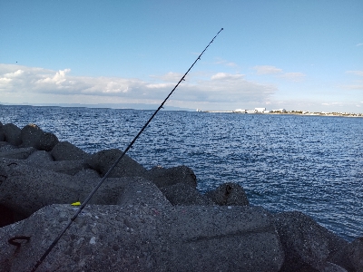 カレイ釣りのはずが、、、