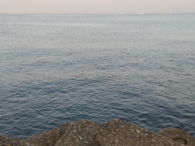 青物まだ釣れます!