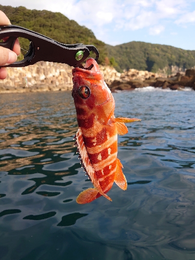 ゴムボートで釣りをしてきました