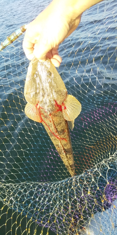 津と松阪の境目でゴムボート