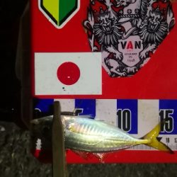 アジング練習　327　