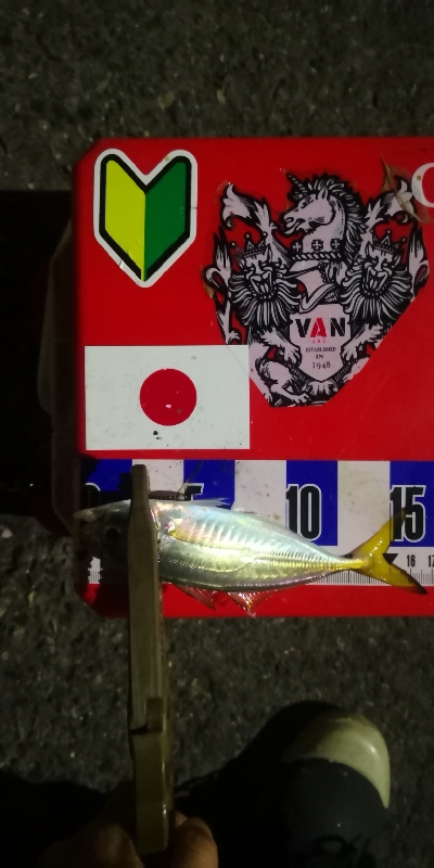 アジング練習　327　