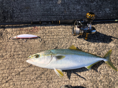 初の波止やのに…