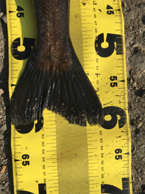 のんびりズボ釣り