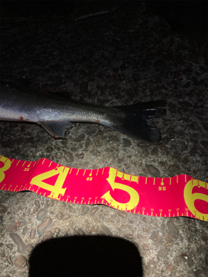 3ヒット1キャッチの敗北