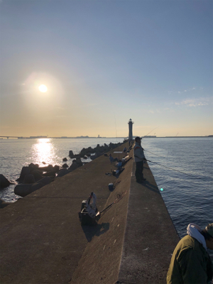 アジと青物きびしい