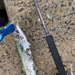 サーフジギング