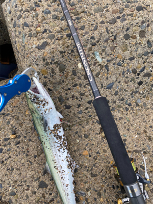 サーフジギング