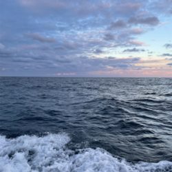 丹後沖タイラバ