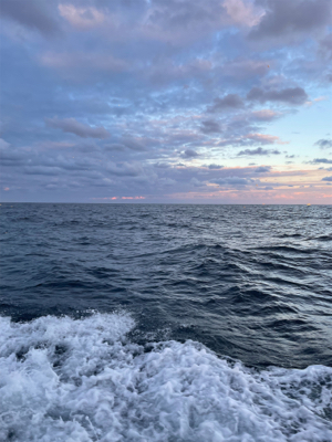 丹後沖タイラバ