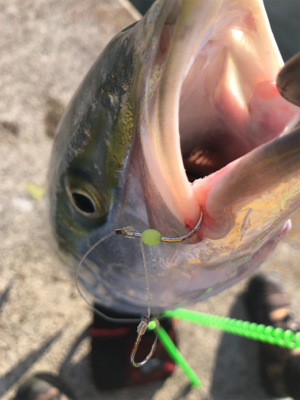 3連勝3連続マルチ安打