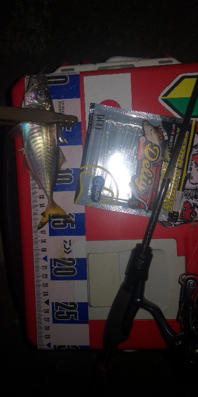 アジング練習328　スプリットシンカー