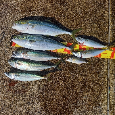 夜から昼過ぎまで