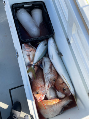 丹後沖　タイラバドジギング