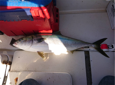 初オフショア釣行