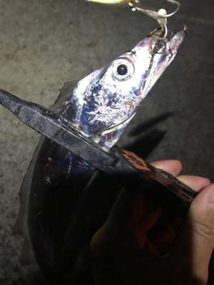 大潮サーベルゲーム