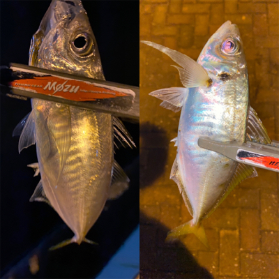 シャローフリークでドリフト