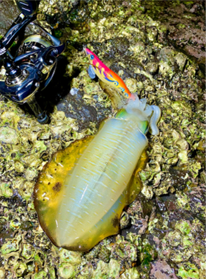 ガイドエギング