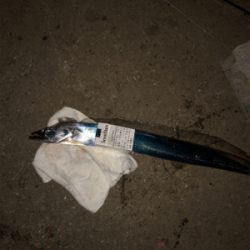 朝のリベンジ太刀魚