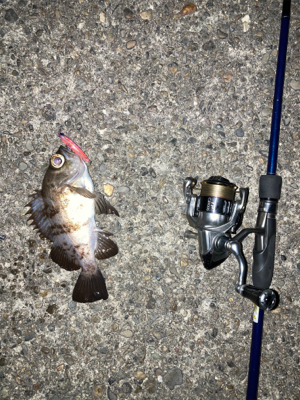 爆風ライトゲーム