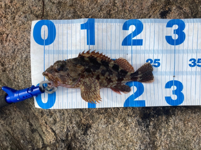 久しぶりの釣行