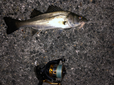 フロートアジング