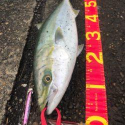 雨上がりの潮止まり