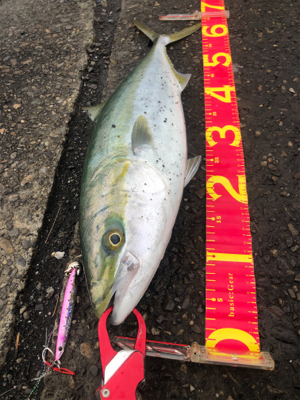 雨上がりの潮止まり