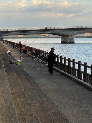 カレイ、カワハギ釣り