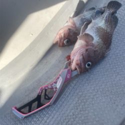 丹後沖中深海ジギング