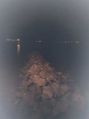 コウイカちゃん