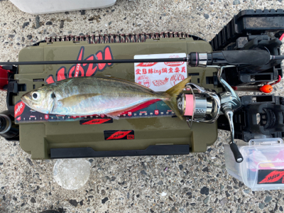 久々の軽量ジグ単