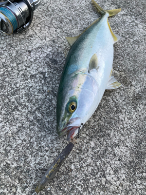 無反応シラスパターン