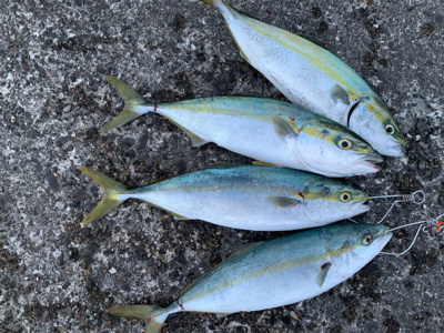 気まぐれ釣行で無事爆発！