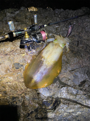 そろそろキロアップを…