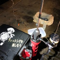 ヒイカ釣りに行ってみた。