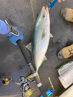 今秋初ジギング