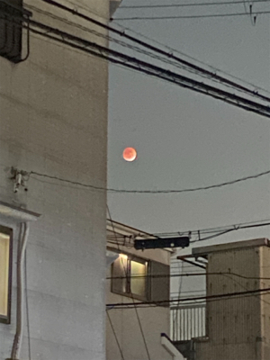 久しぶりのショアジギ