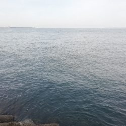 ショアジギング