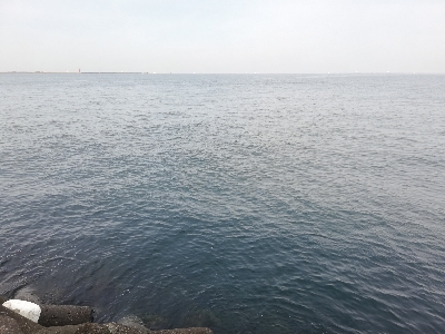 ショアジギング