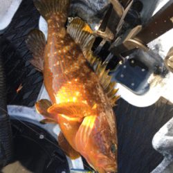 コンパクトカヤックフィッシング