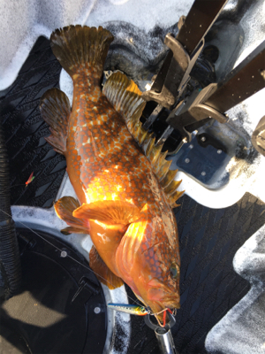 コンパクトカヤックフィッシング