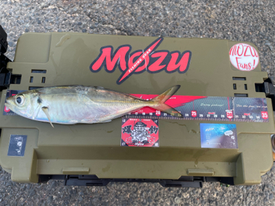 寒さで準備をサボったせいで