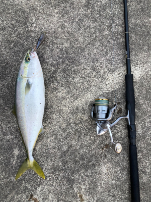 シラスパターン2