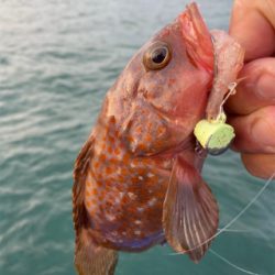 関門一つテンヤ