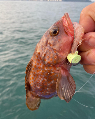 関門一つテンヤ