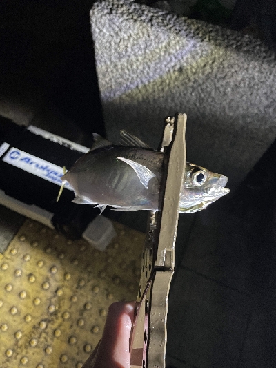 みんなすごいな