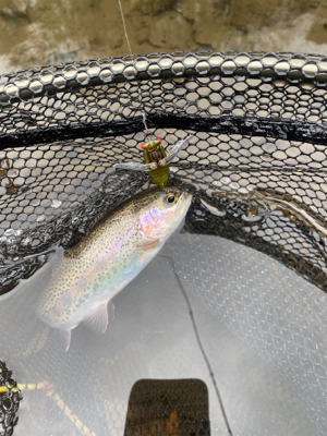 黒保根渓流フィシング